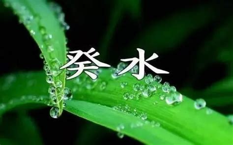 癸水是什么|十天干详解——癸水